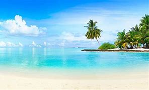 all holiday